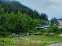 10 CICLOPEDONALE VAL DI SOLE  (49)