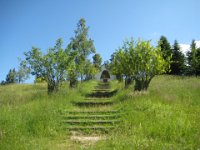 11 PASSO VEZZENA (7)