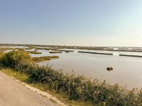 ciclabile sottomarina chioggia  (23)