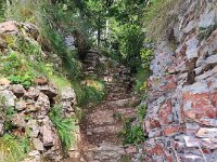 forra del lupo  (11)