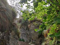 forra del lupo  (17)