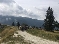 forra del lupo  (2)