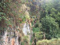 forra del lupo  (4)