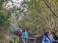 rosaro cerro (1)