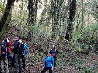 rosaro cerro (4)